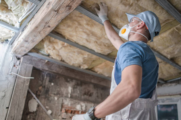 Best Insulation Replacement Services  in Emerald Lake Hills, CA